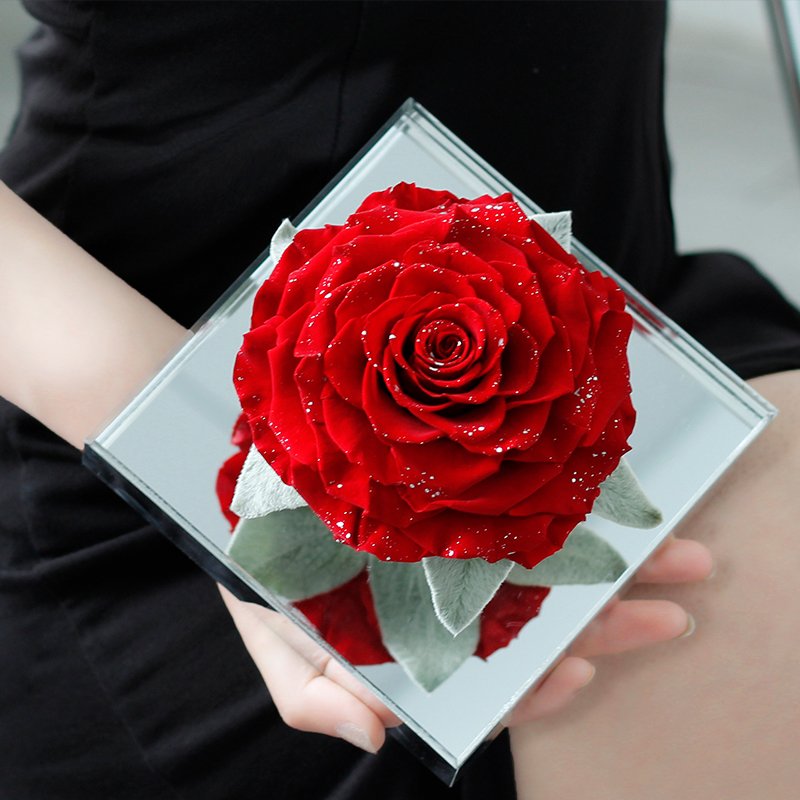 Home Decor Valentine's Day Gifts Handmade Preserved Flowers Real Natural Everlasting Forever Love Preserved Roses in Acrylic Box
