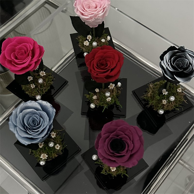 Wholesale Custom Colorful Beautiful Forever Roses Fresh Real Natural Eternal Long Lasting Rose Preserved Flower in Box