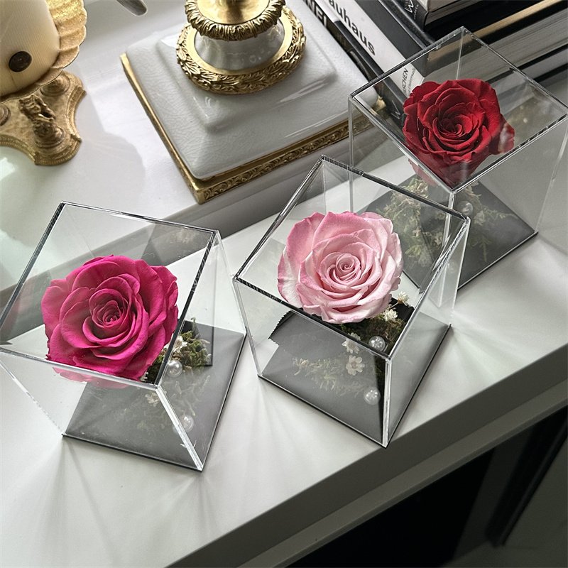 Wholesale Custom Colorful Beautiful Forever Roses Fresh Real Natural Eternal Long Lasting Rose Preserved Flower in Box