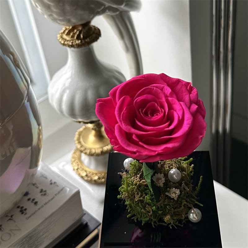 Wholesale Custom Colorful Beautiful Forever Roses Fresh Real Natural Eternal Long Lasting Rose Preserved Flower in Box