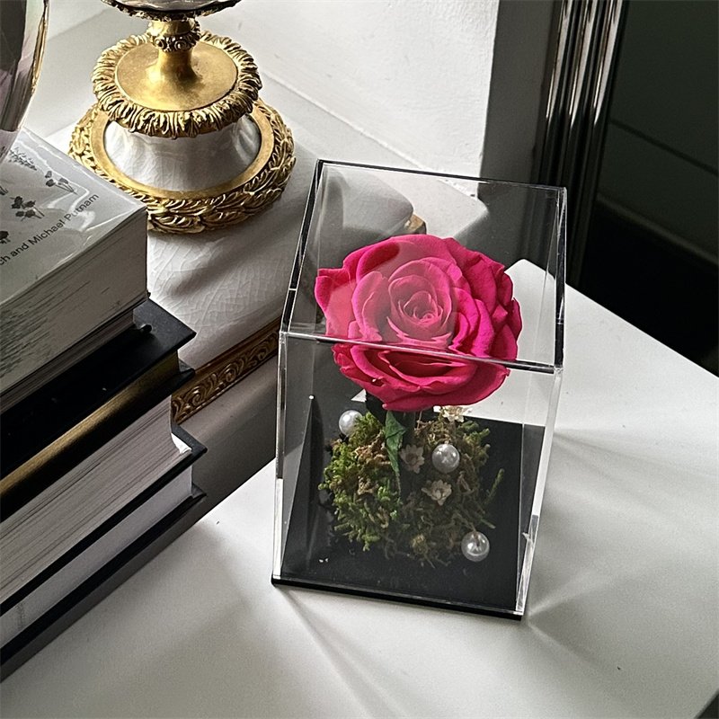 Wholesale Custom Colorful Beautiful Forever Roses Fresh Real Natural Eternal Long Lasting Rose Preserved Flower in Box
