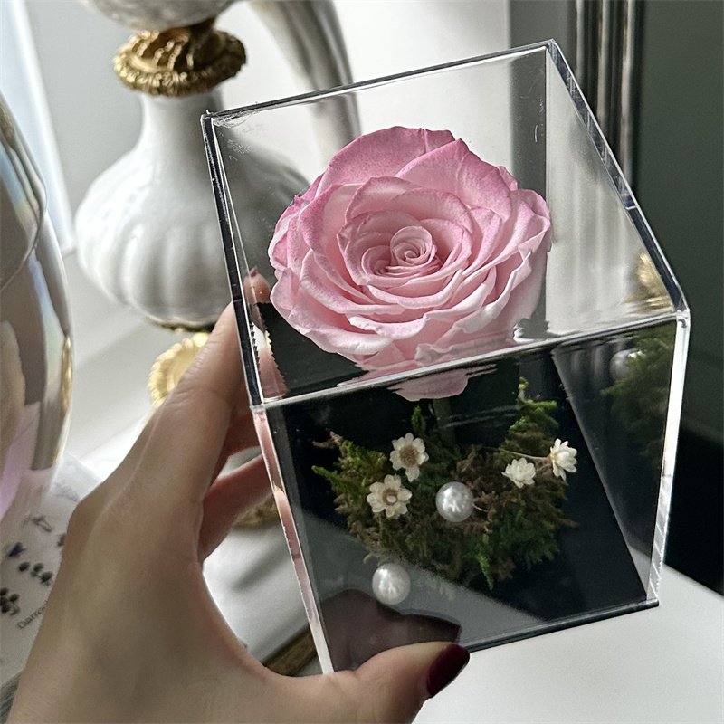 Wholesale Custom Colorful Beautiful Forever Roses Fresh Real Natural Eternal Long Lasting Rose Preserved Flower in Box