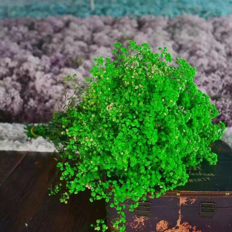 AX-17 Preserved Baby's Breath Flower Big Artificial Gypsophila for Wedding Christmas & Graduation Party Decoration