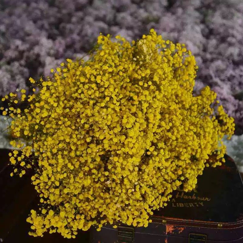 AX-17 Preserved Baby's Breath Flower Big Artificial Gypsophila for Wedding Christmas & Graduation Party Decoration