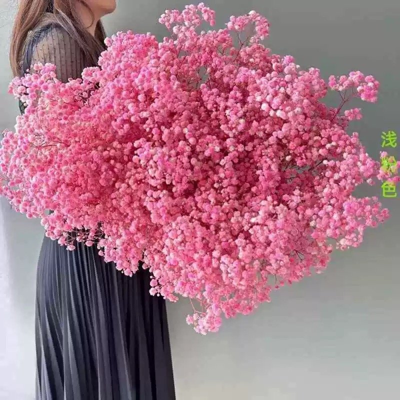 AX-17 Preserved Baby's Breath Flower Big Artificial Gypsophila for Wedding Christmas & Graduation Party Decoration
