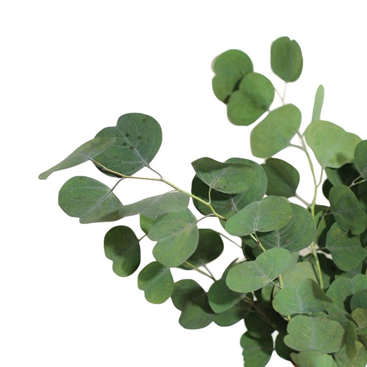 Sumflora Wholesale simulation green plant with fruit round leaves for wedding decoration preserved flower eucalyptus round leaf