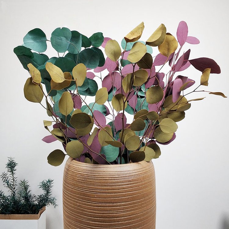 Sumflora Wholesale simulation green plant with fruit round leaves for wedding decoration preserved flower eucalyptus round leaf