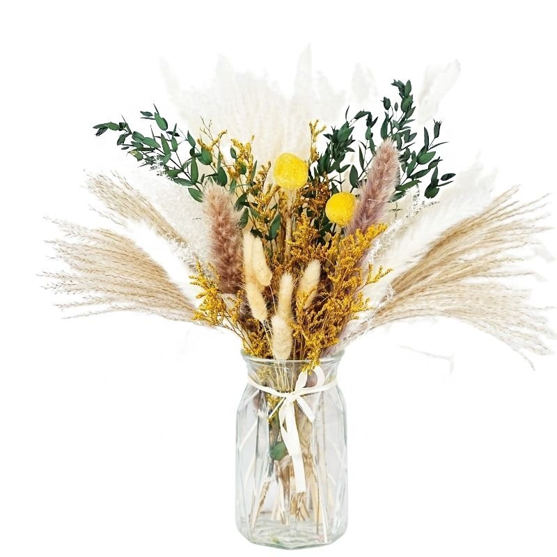 Natural Dried Pampas Grass Home Decor Bouquet Phragmites Dried Flowers Bouquet for Wedding Floral Arrangements Home Decorations