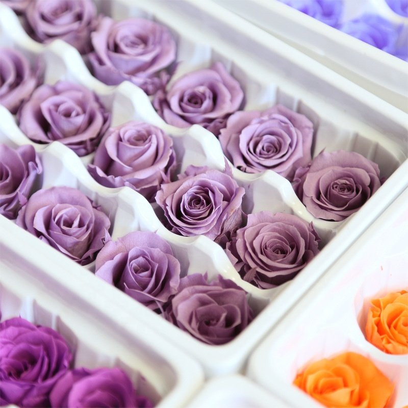 Wholesale High Quality 2-3cm Grade A-B Rose Head Stabilized Eternal Rose Head Preserved Rose Immortal Flower for Decora