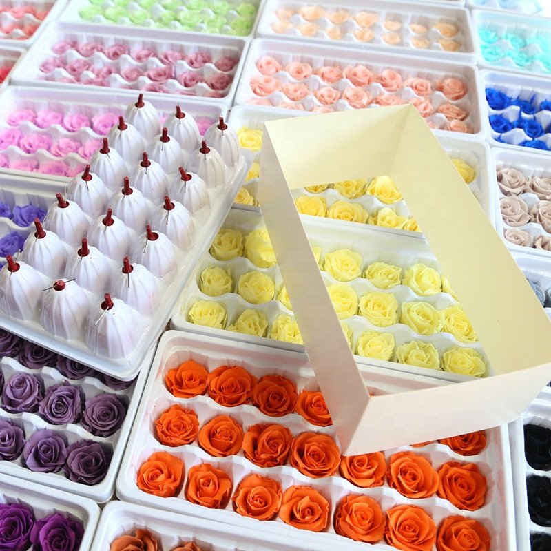 Wholesale High Quality 2-3cm Grade A-B Rose Head Stabilized Eternal Rose Head Preserved Rose Immortal Flower for Decora