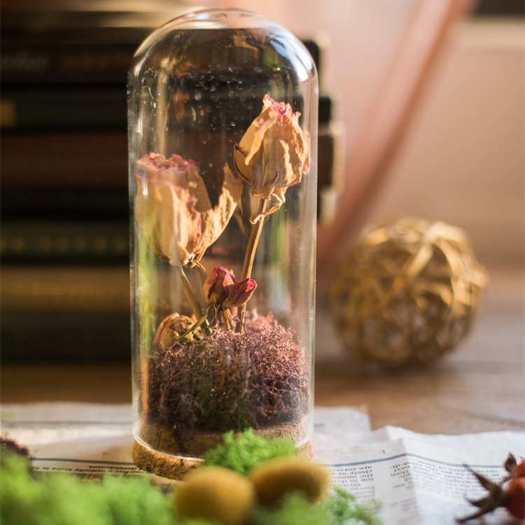 Dome Preserved Flower Rose Wholesale Mini Clear Geodesic Home Decoration Glass Jar Cylinder Folk Art Glass Cloche