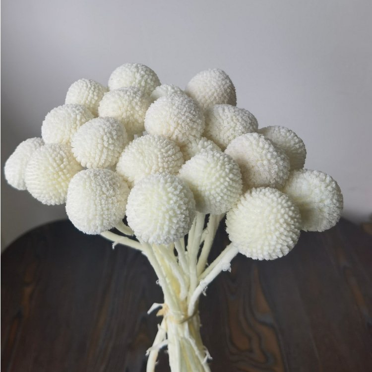 Preserved Billy Buttons Bunch with 20 Stems for Wedding Home Office Party Decorations