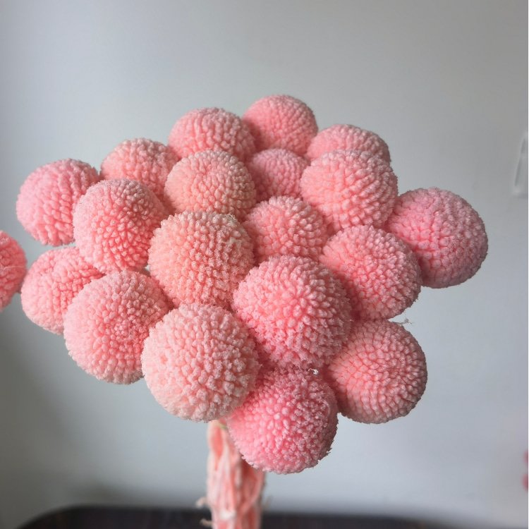 Preserved Billy Buttons Bunch with 20 Stems for Wedding Home Office Party Decorations