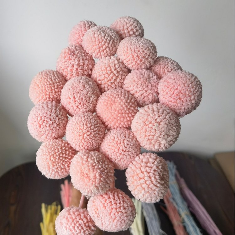 Preserved Billy Buttons Bunch with 20 Stems for Wedding Home Office Party Decorations