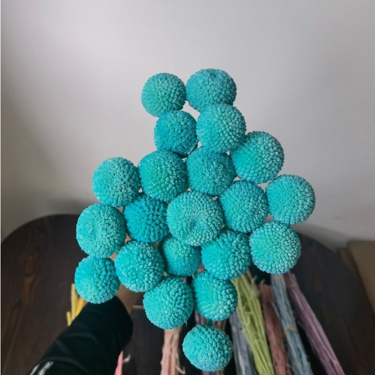 Preserved Billy Buttons Bunch with 20 Stems for Wedding Home Office Party Decorations