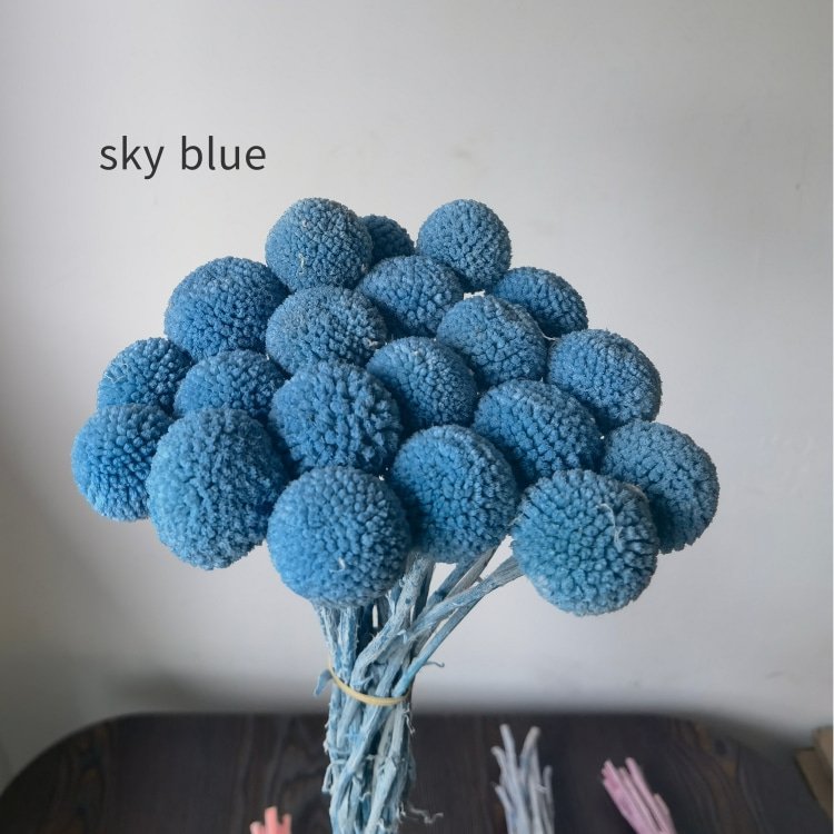 Preserved Billy Buttons Bunch with 20 Stems for Wedding Home Office Party Decorations