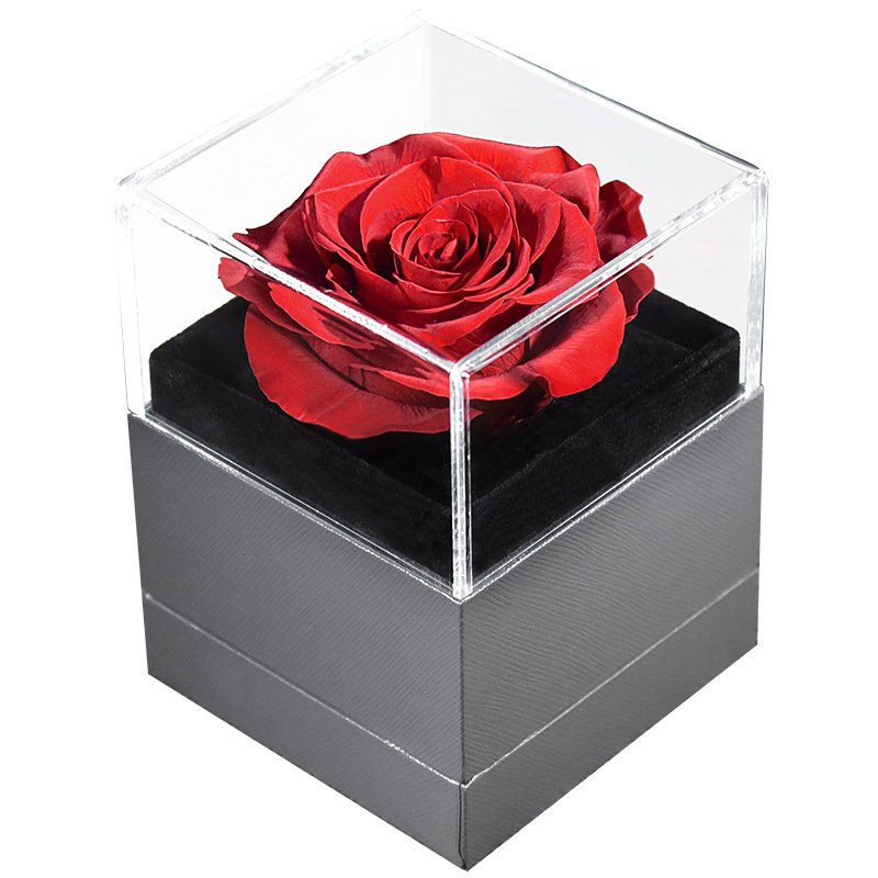 UO Most Popular Preserved Rose Acrylic Jewelry Box With Necklace Holder Immortal Flowers Valentine's Day Gift