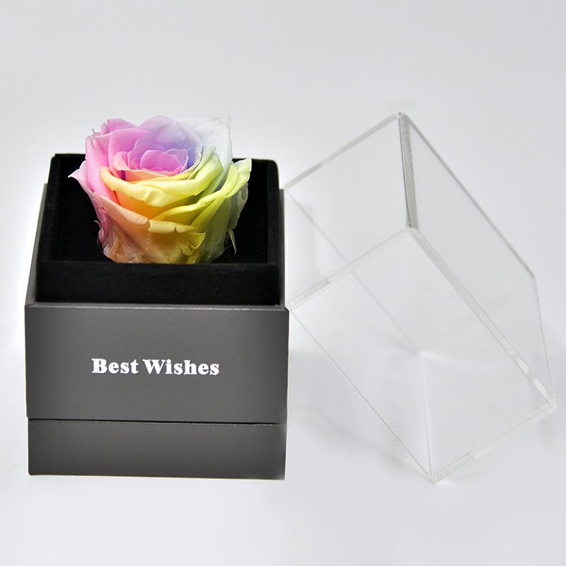 UO Most Popular Preserved Rose Acrylic Jewelry Box With Necklace Holder Immortal Flowers Valentine's Day Gift