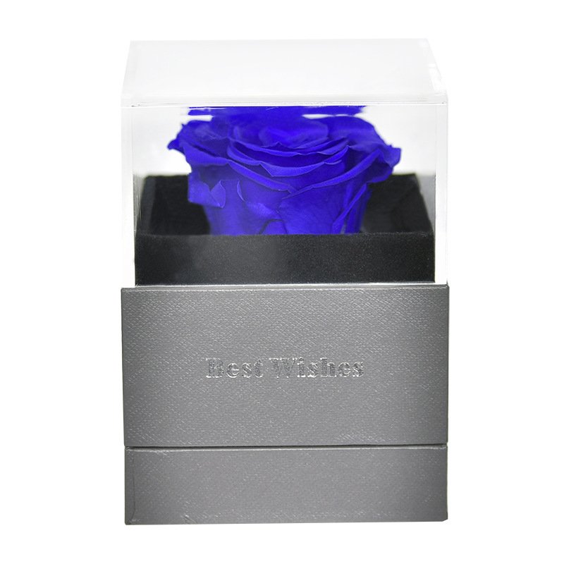 UO Most Popular Preserved Rose Acrylic Jewelry Box With Necklace Holder Immortal Flowers Valentine's Day Gift