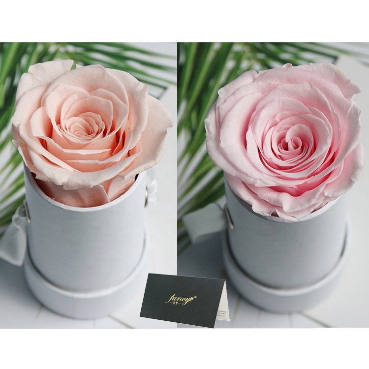 Enchanted Stabilized Rosas Preserved Roses Flower Box Valentines Day Gifts Forever Eternal Long Lasting Infinity Flowers