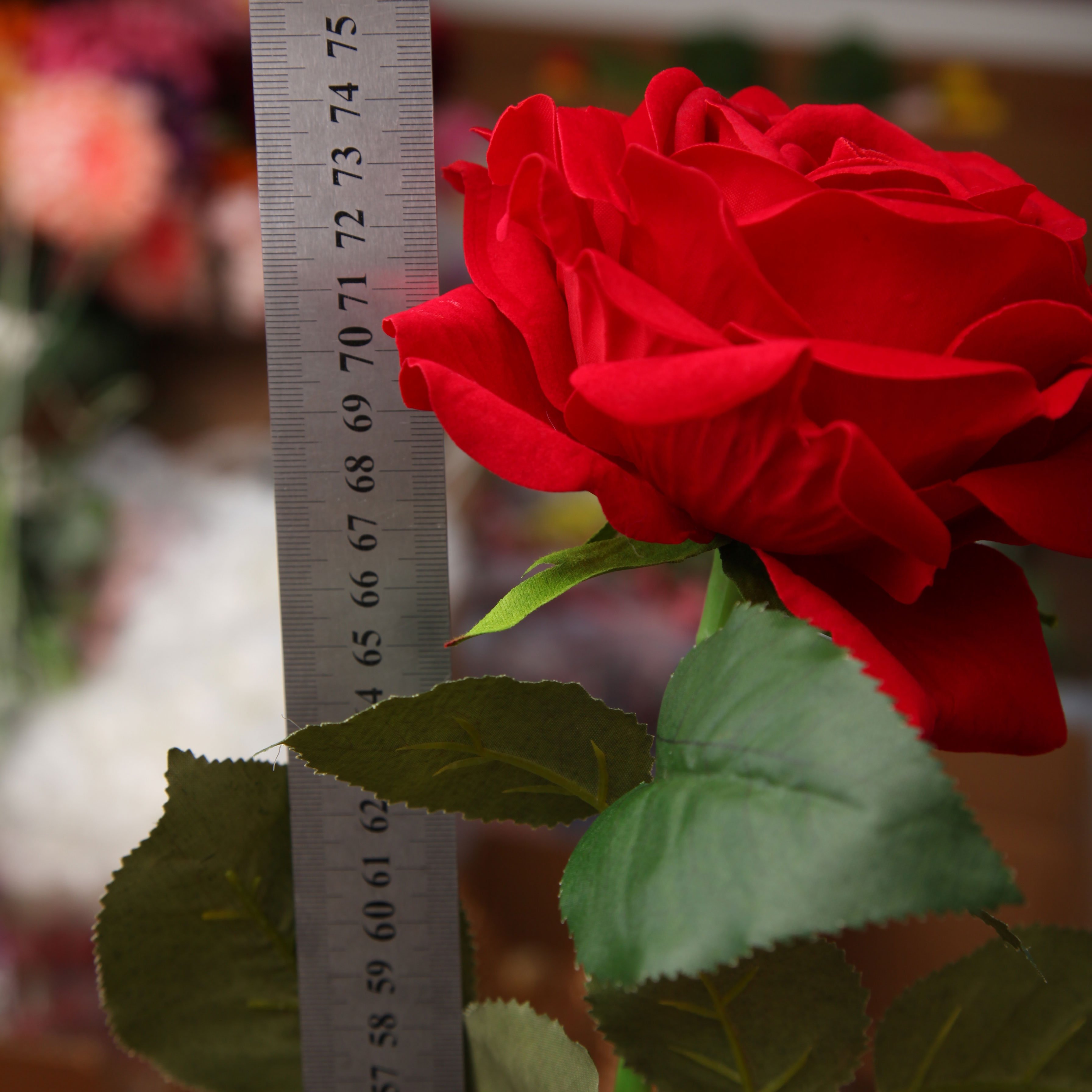 TCF Decorative Real Touch Rose Flowers Artificial Silk Rose Flower Artificial Flowers For Home Wedding Decor