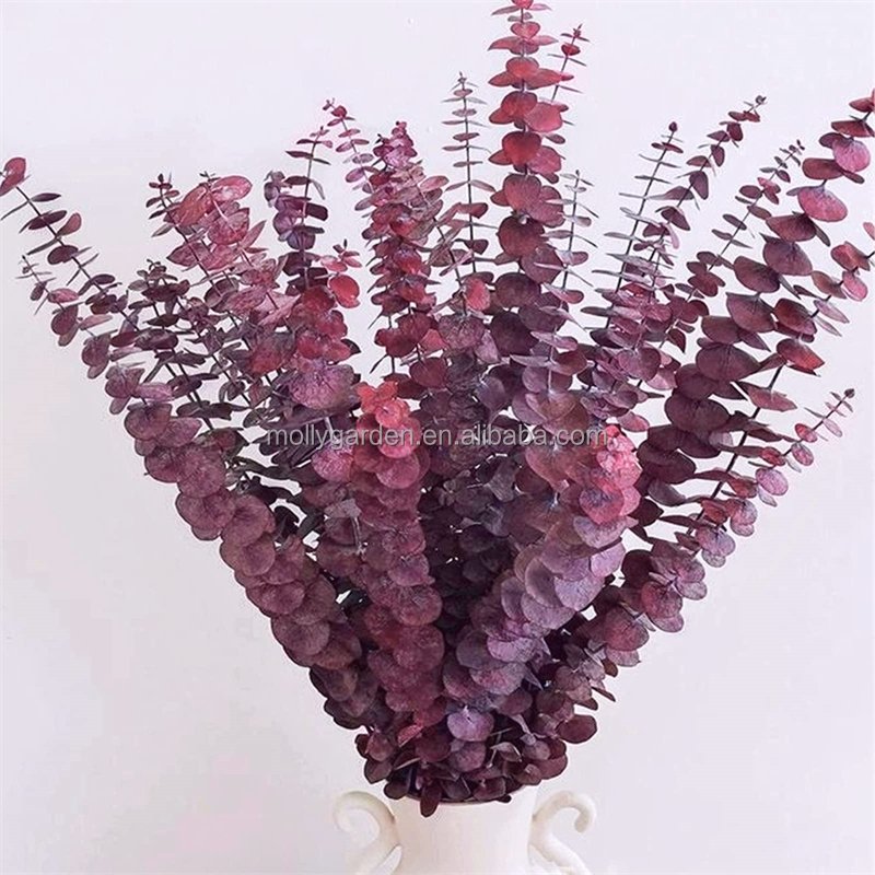Natural Dried Eucalyptus Leaves Hanging Fragrance Real Plant Preserved Eucalyptus Stems & Lavender Flower For Shower Home