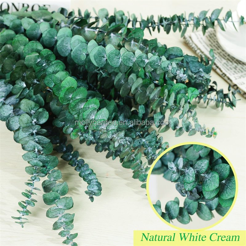 Natural Dried Eucalyptus Leaves Hanging Fragrance Real Plant Preserved Eucalyptus Stems & Lavender Flower For Shower Home