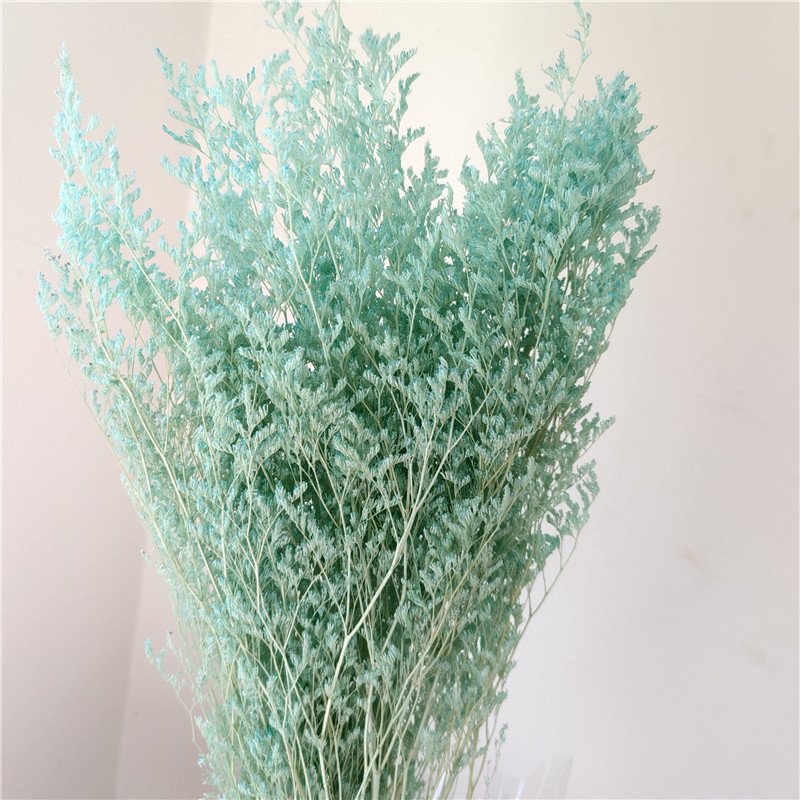 Yunnan Wholesale Preserved Flower Statice Valentine grass Limonium For Floral Arrangement