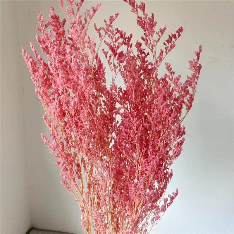 Yunnan Wholesale Preserved Flower Statice Valentine grass Limonium For Floral Arrangement