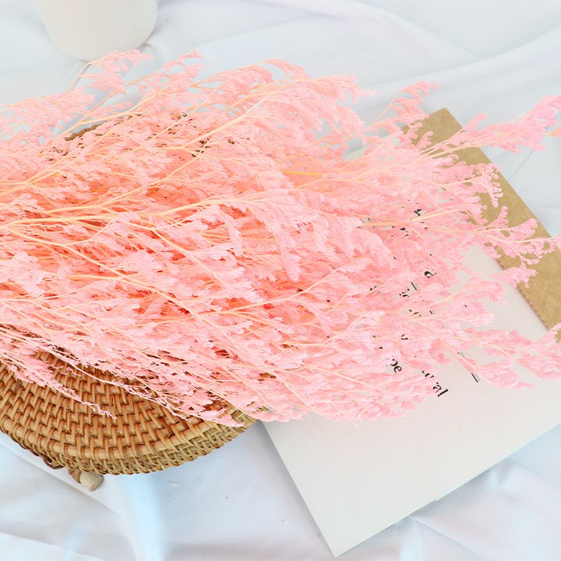 Yunnan Wholesale Preserved Flower Statice Valentine grass Limonium For Floral Arrangement