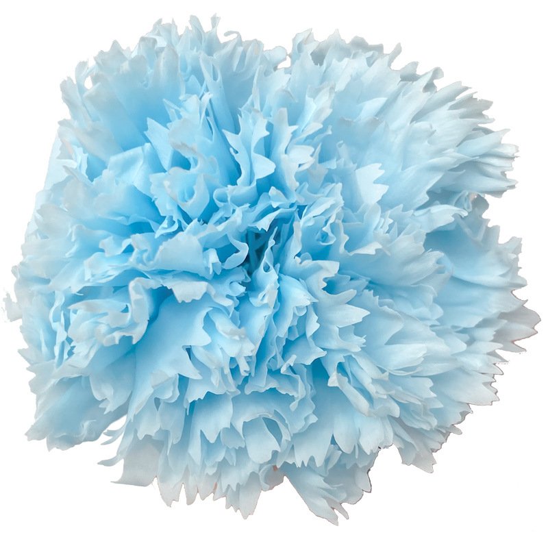2023 most popular preserved carnation preserved Flower Decorative Flowers for Home Decoration