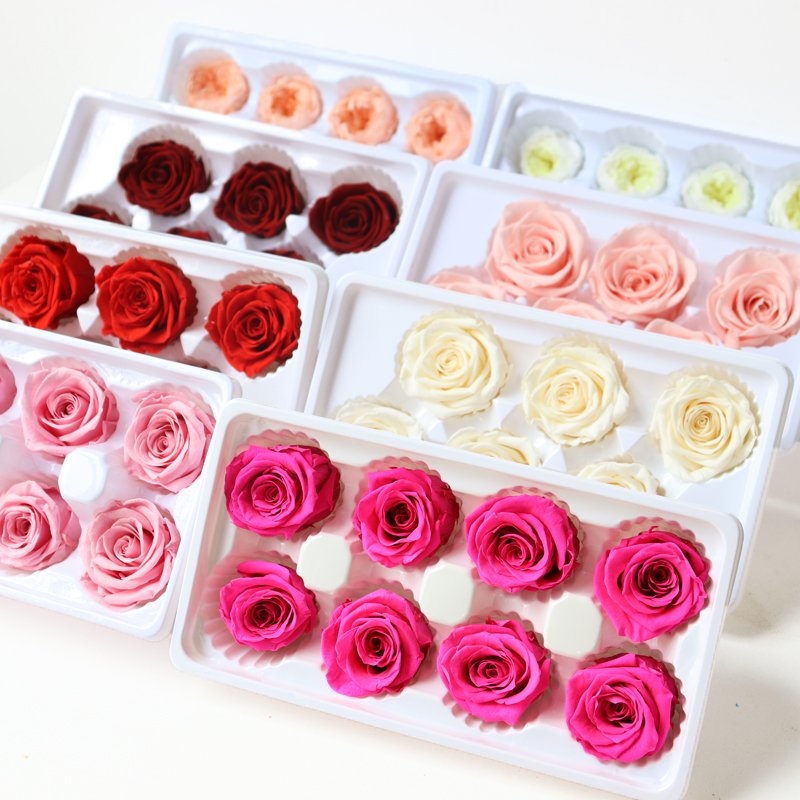 Beautiful Stabilized Eternal Forever Natural Cut Flower Rose Preserved Flower for Wedding Flower Wall