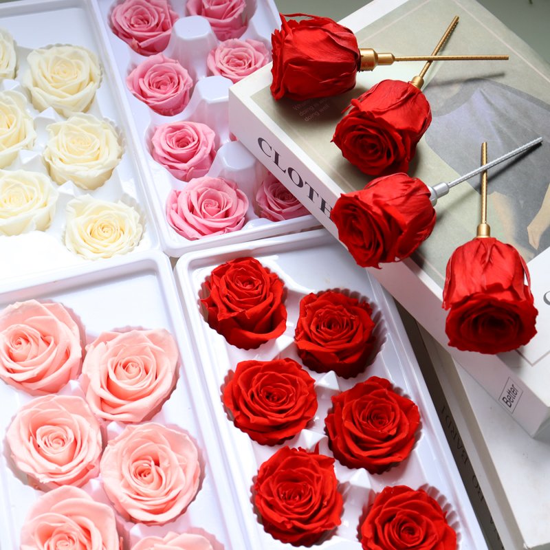 Beautiful Stabilized Eternal Forever Natural Cut Flower Rose Preserved Flower for Wedding Flower Wall