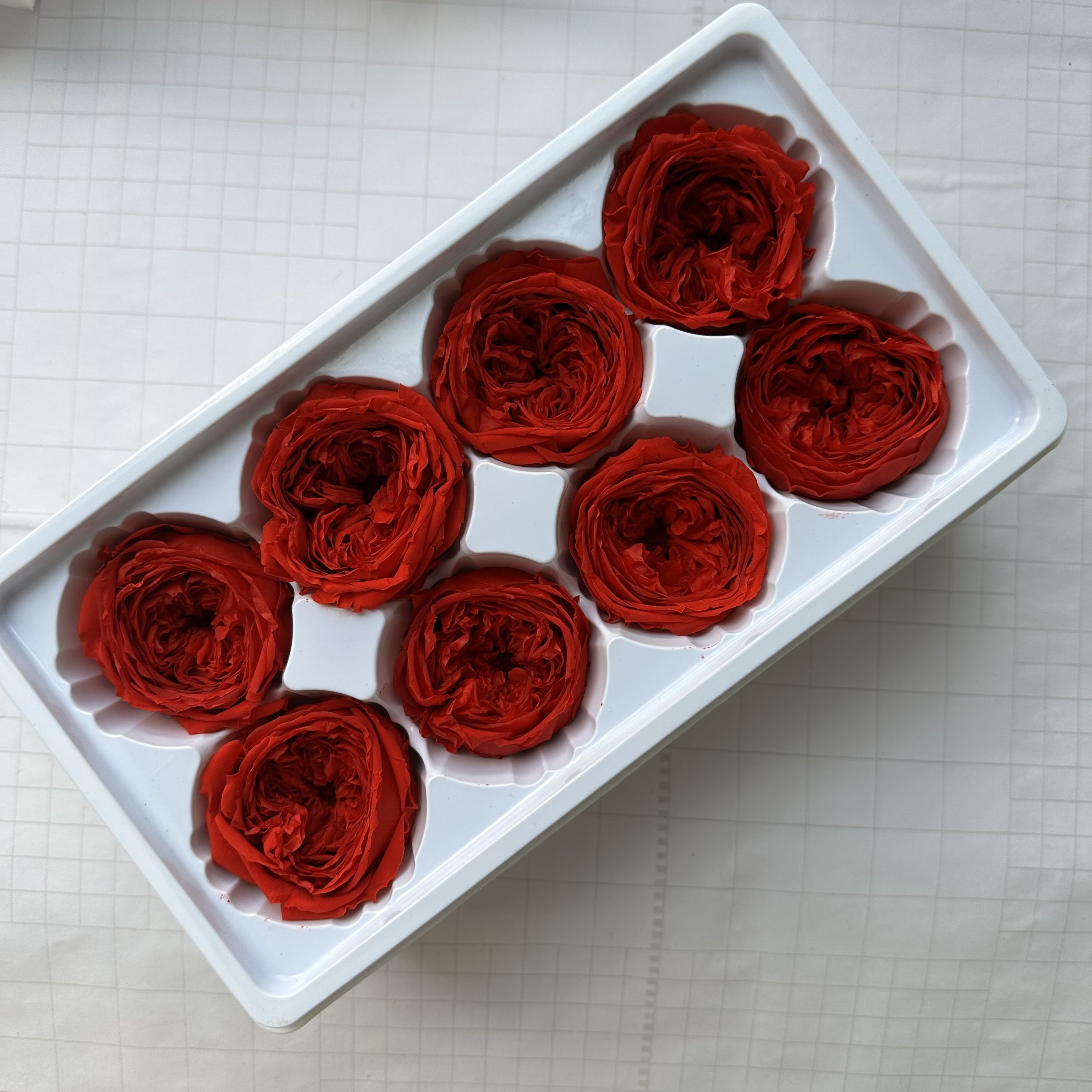 Decorative Flowers Preserved Austin Rose Eternal Austins Everlasting Flower Heads For Home Decor