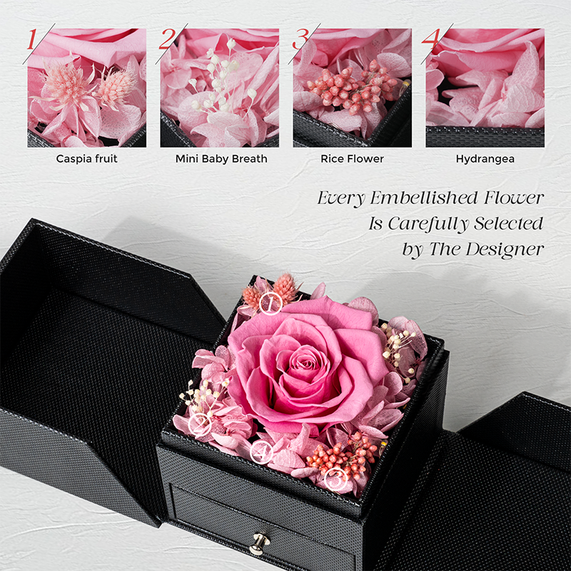 Gift Sets Jewelry Box Everlasting Eternity Flowers Preserved Real Rose for Valentines Day Mothers Day Birthday Anniversary Gift