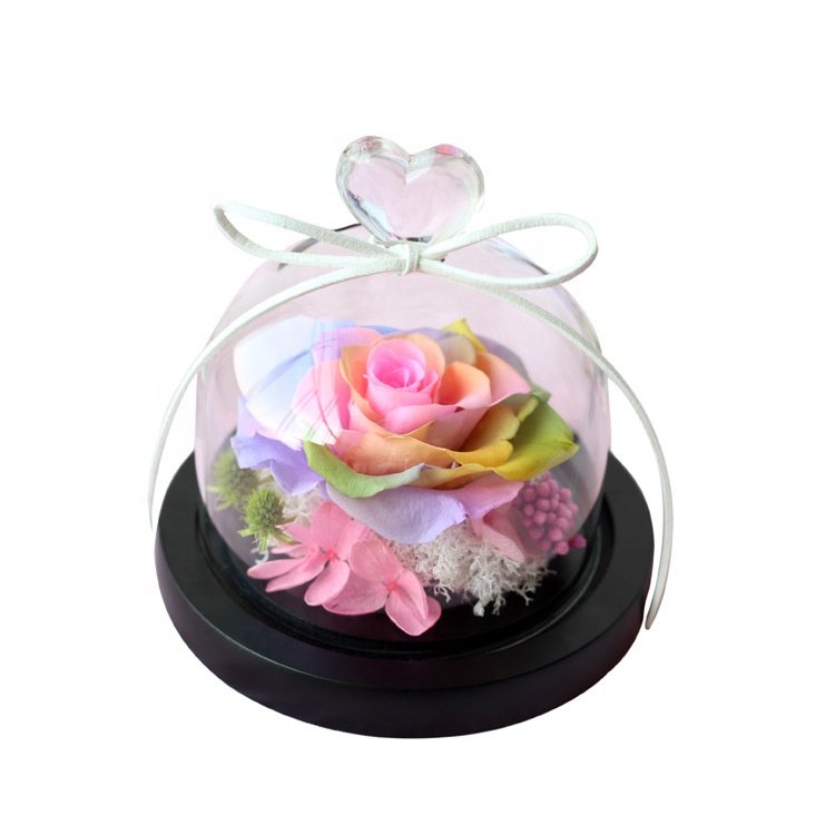 Ourwarm Mother Day Gift Eternal Forever Preserved Roses Flower Box Valentines Day Gift for Women