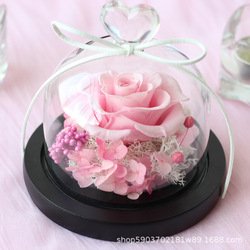 Q-YSH-A-PINK