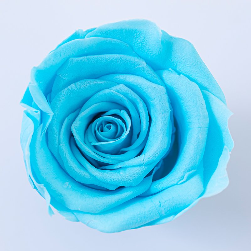 Eternal Rose B-grade Flower Head Multi size Full Box Gift Making Flower Material Valentine's Day