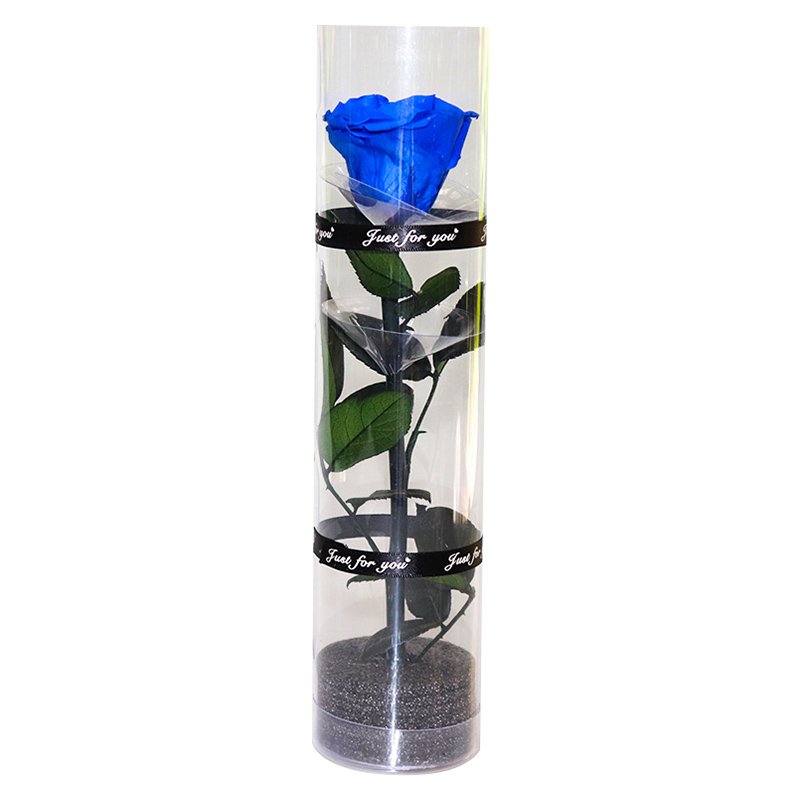 Wholesale Preserved Single Rose Head Long Stem Rose PVC Flower Box