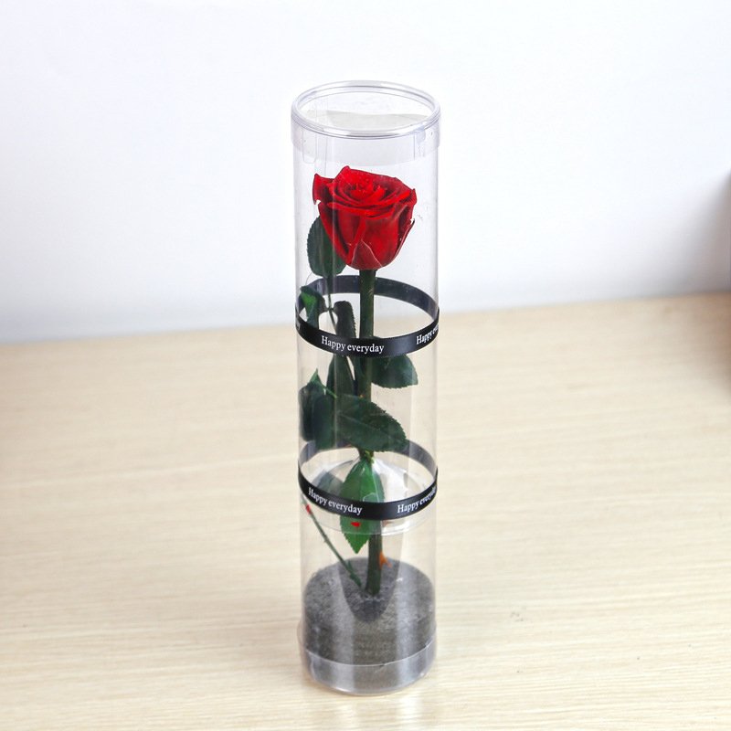 Wholesale Preserved Single Rose Head Long Stem Rose PVC Flower Box