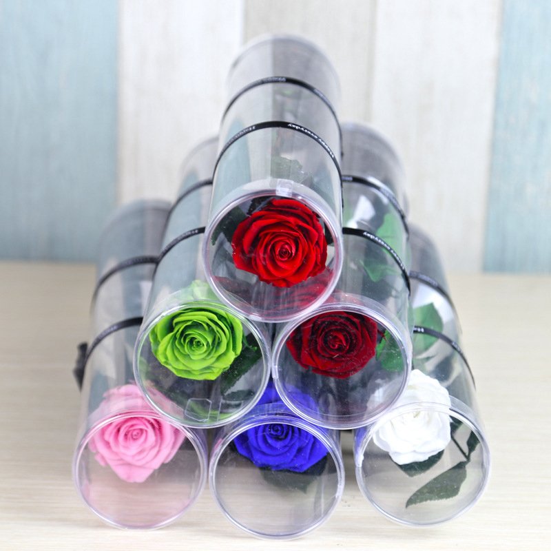 Wholesale Preserved Single Rose Head Long Stem Rose PVC Flower Box
