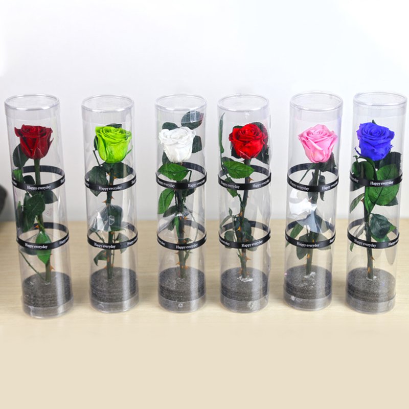Wholesale Preserved Single Rose Head Long Stem Rose PVC Flower Box