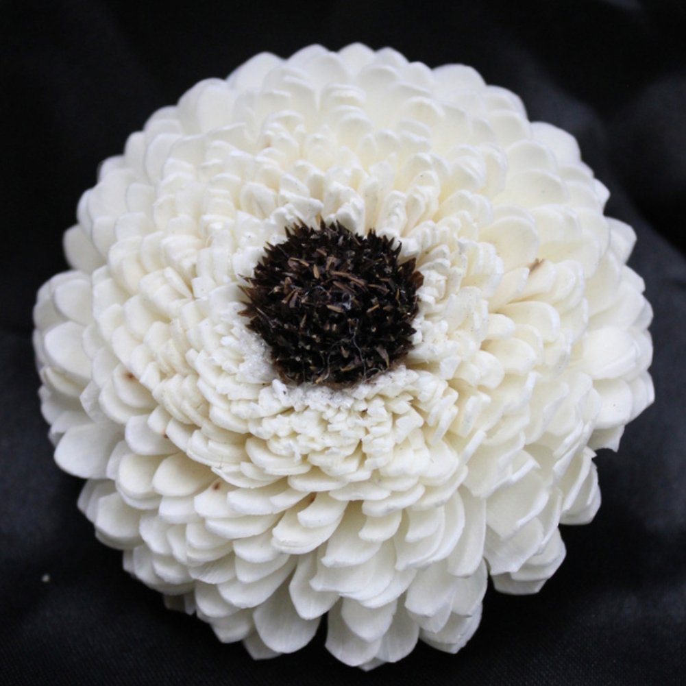 Eternal Rose Sola Flower with Cotton Wick and Wire Perfect Mother's Day Valentine's Day Christmas and Thank You Gifts for Women