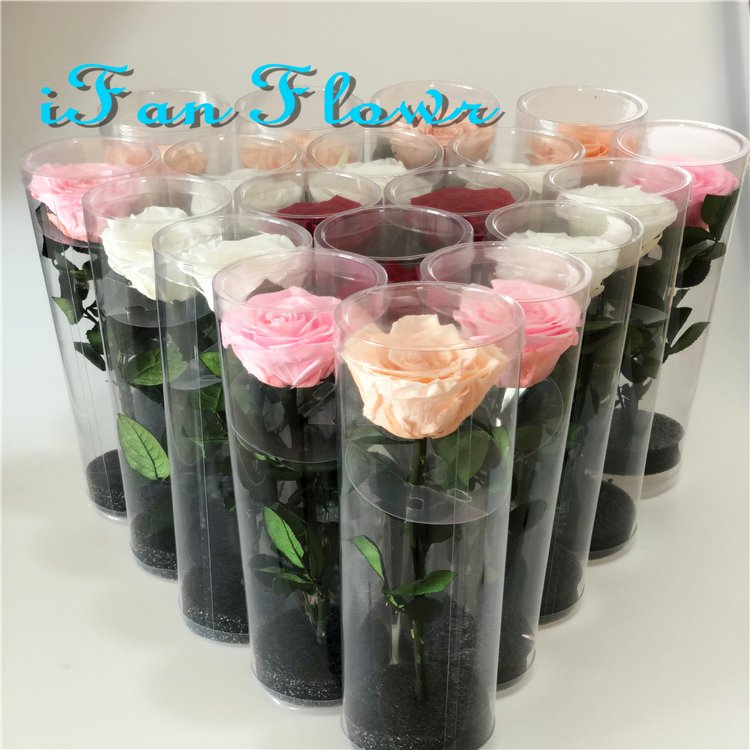Factory direct supply rose head Natural Flowers Preserved rose head +DIY handmade+Decoration flowers