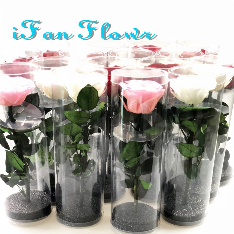 Factory direct supply rose head Natural Flowers Preserved rose head +DIY handmade+Decoration flowers