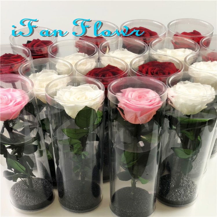 Factory direct supply rose head Natural Flowers Preserved rose head +DIY handmade+Decoration flowers
