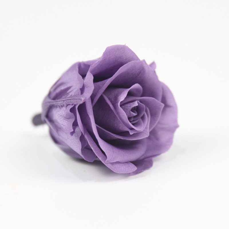 Australia permitted preserved rose preserevd flower for vase flowers craft