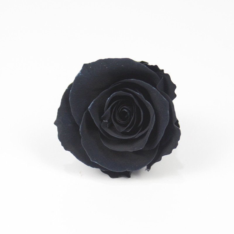 Australia permitted preserved rose preserevd flower for vase flowers craft