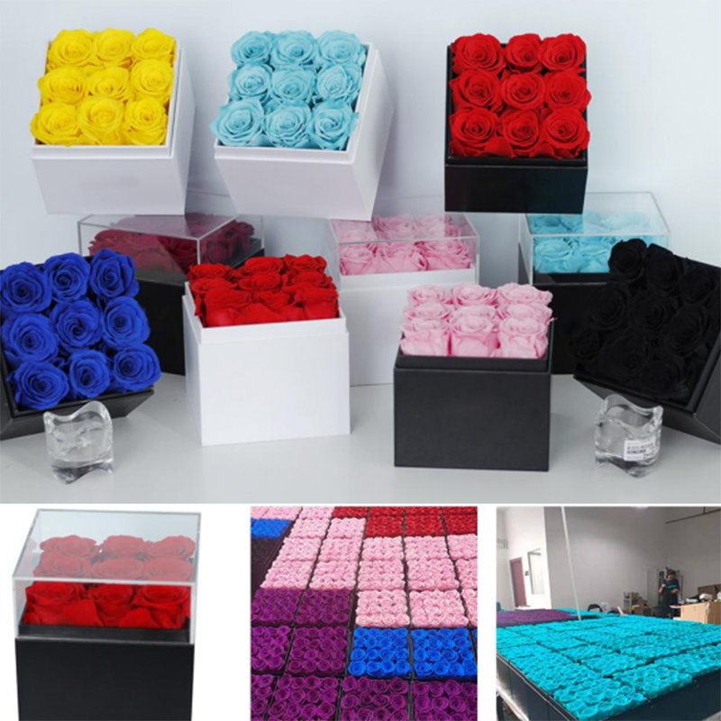 Wholesale Mothers Day Gift 2024 Valentine's Day Gift Decorations Forever Eternal Preserved Flower