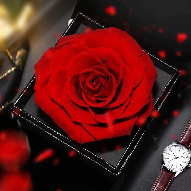Trending 2024 Mothers Day Gifts Roses Jewelry Boxes Valentines Gift Preserved Rose Box